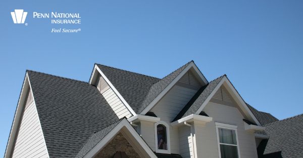 Roof - WEB.jpg