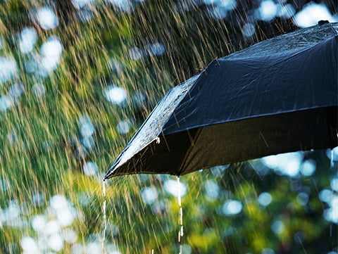 Close up of open umbrella
