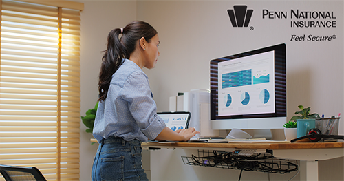 Deer in front of car - PNI Logo.png